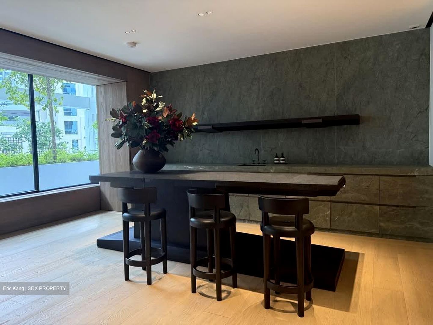 21 Anderson (D10), Condominium #591418741